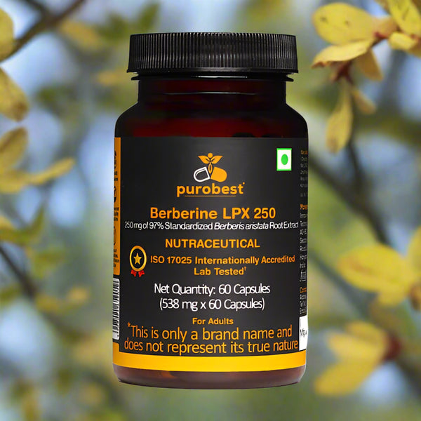 PUROBEST Berberine LPX 250 - Berberis Aristata Root Extract