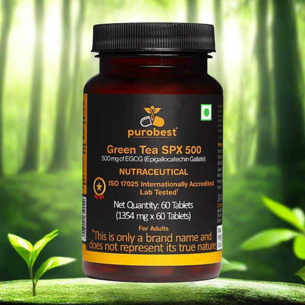 PUROBEST Green Tea SPX 500 - Green Tea (Camellia Sinensis) Extract